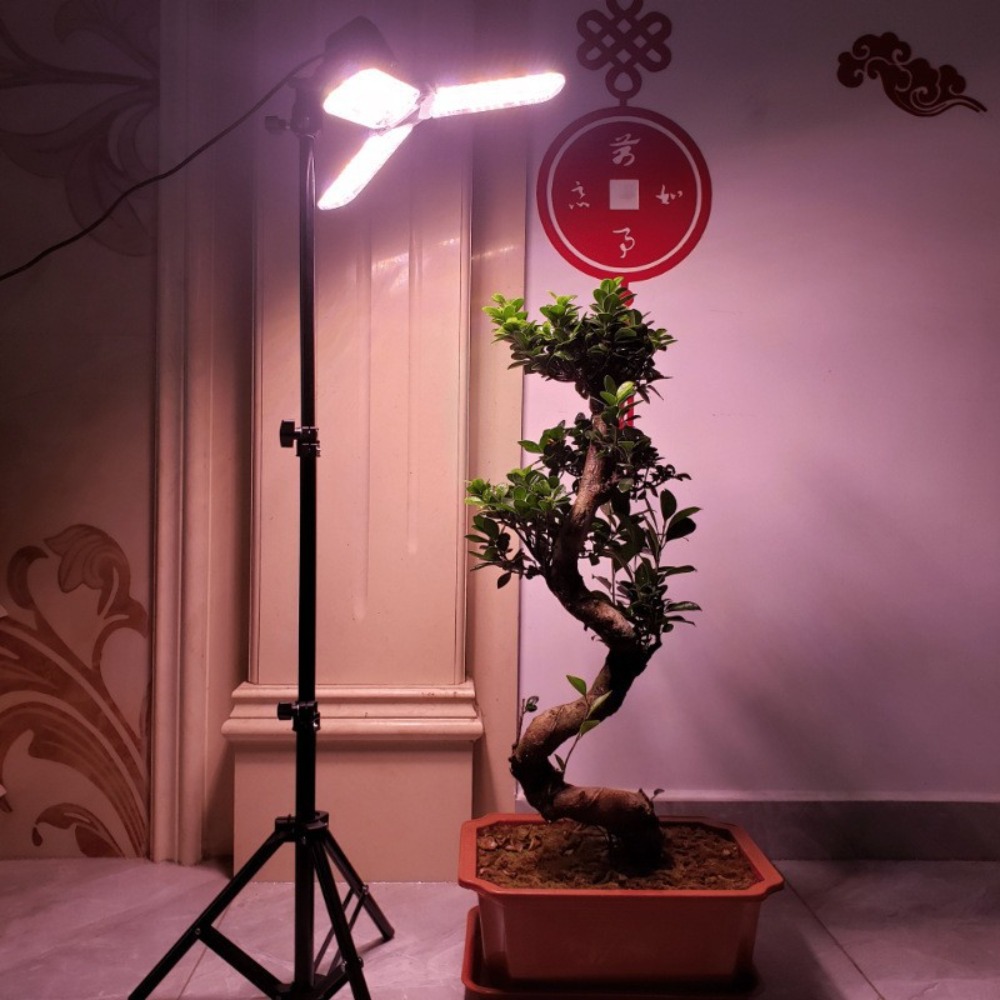 Light Bulb Stand 2M, E27 AC So - Photography Lighting For Studio recension och pris
